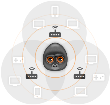 Wi-Fi Monitoring Module (WM)